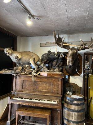 Taxidermy et al