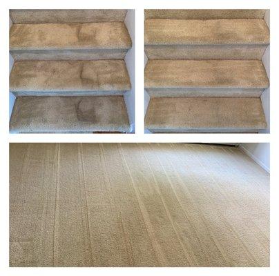 Carpet cleaning ( before & after)