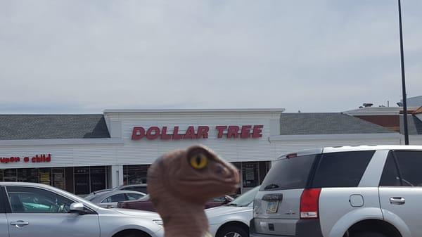 Bob the Raptor Says, "I see light posts but no trees."