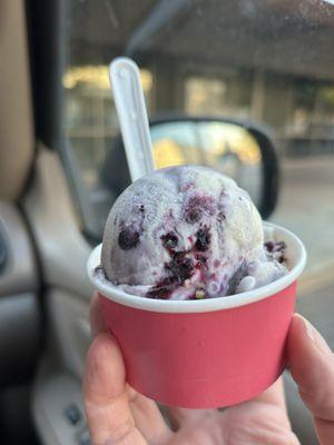 Blueberry mascarpone Gelato at GB Gelato!