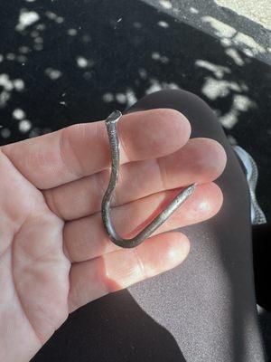 The gnarly nail in my tire!!! Thank you to Gaona Tires! Ramona and Felix kick some serious butt on customer service!!!