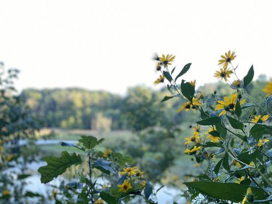 Watershed Nature Center