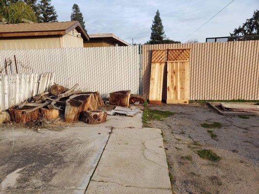 Tree stump removal