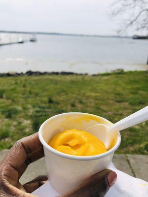 Mango and Coconut Sorbet