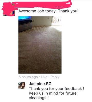 Xtreme Carpet Cleaning