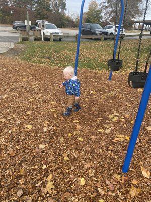 Playing in the leaves