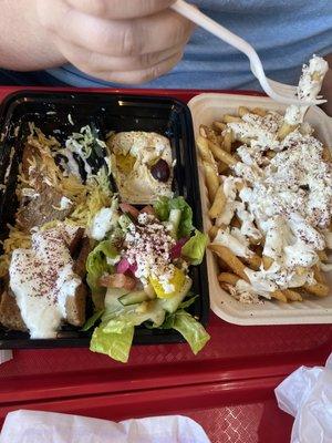 Beef and Lamb Gyro Plate Greek Fries