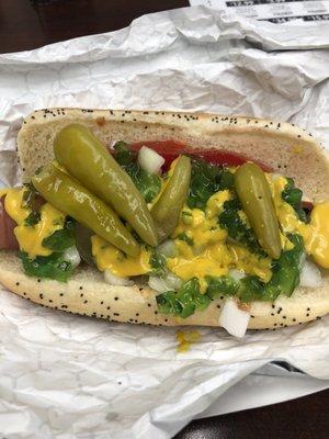 Chicago Dog