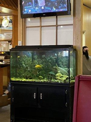 Fish Tank and no it's not used for the sushi (lol)