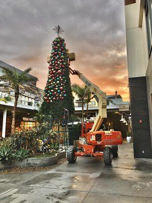 Our annual Christmas tree decorating in Huntington Beach California