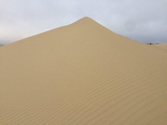 Dune hike before cake.