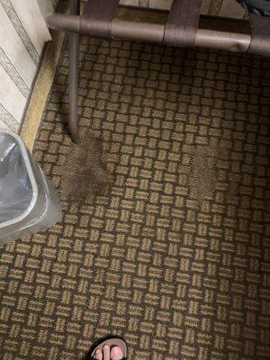 Dirty carpet