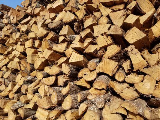 A mountain of fresh cut Post Oak.