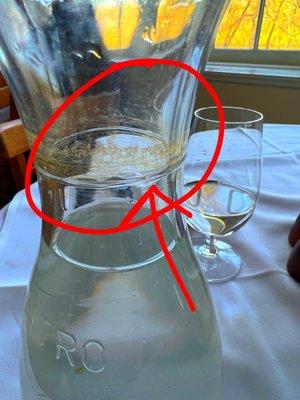 The water we received for the table was filthy with dried scummy dirt. I didn't realize it until after I drank a glass of water.