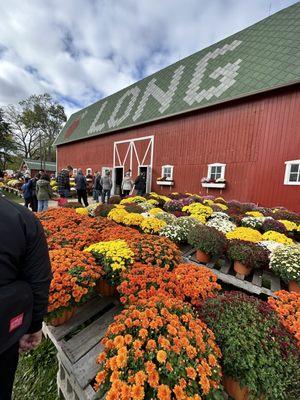 Line for the donut barn