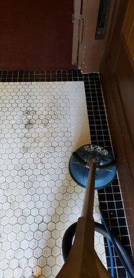 Tile/Grout Cleaning