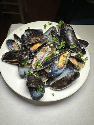 Mussels