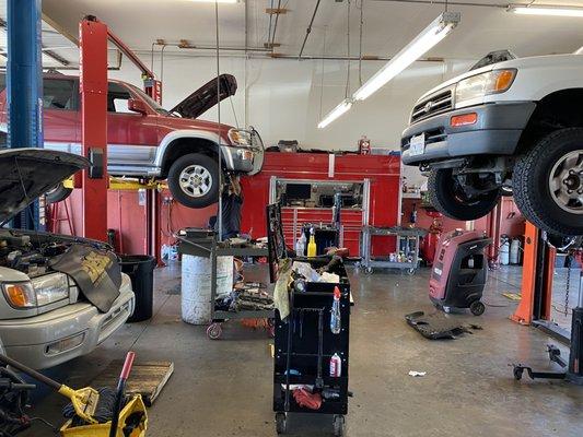 Busy 4Runner kinda day