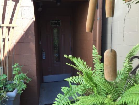 Back entrance through a mini urban garden!