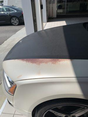 Damage to the hood