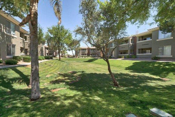 a view of a yard with trees and buildings at Desert Sage