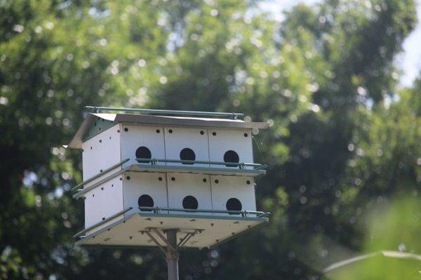 Cottonwood Creek Greenbelt Park Neighborhood Bird House. Photo by Happy Tails Pet Pal, LLC.