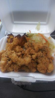 Fried conch dinner