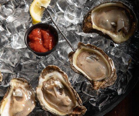 Raw Oysters