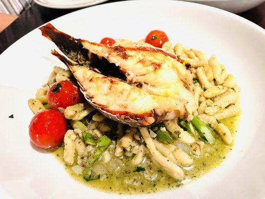 Cavalette pasta with lobster