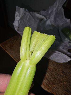 Dirty celery