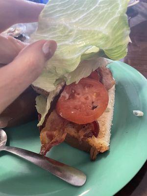 Inside of half BLT Sandwich