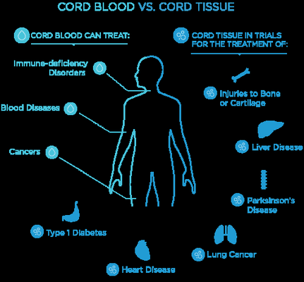 Americord Registry
 
 https://www.americordblood.com/innovation/