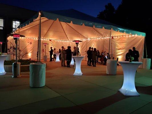 We offer tenting and lighting services