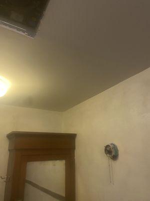 Ceiling after a couple coats of mud and some primer before crown molding.