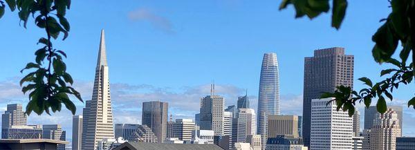 View of SF downtown