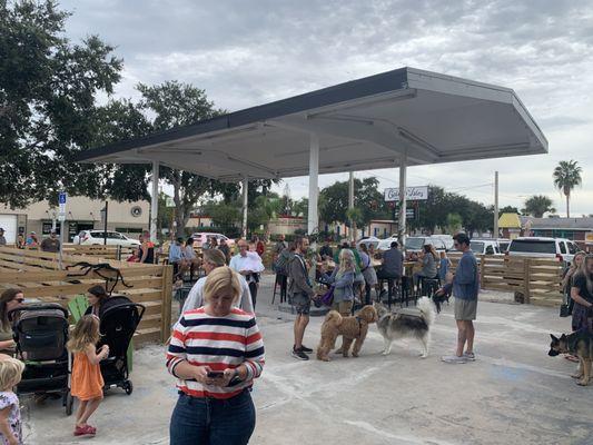 dog show at the brewery