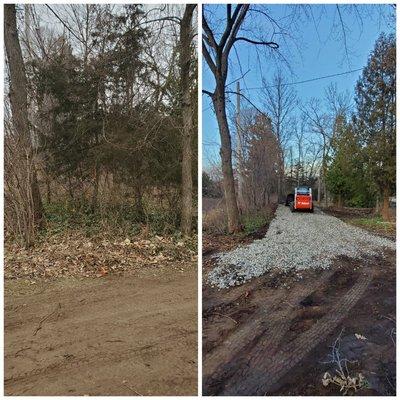 Cleared trees for parking pad