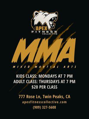 MMA Classes