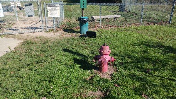 The fire hydrant outside the dog park?