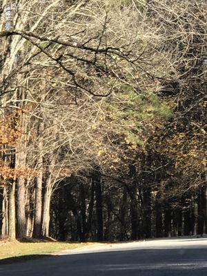 Lake Glendale Recreation Area