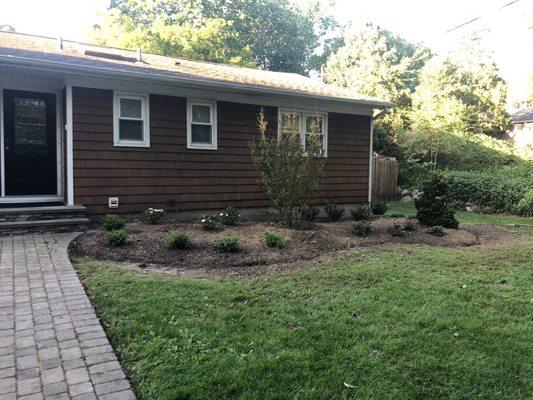 Front bed planted with large crapemyrtle, knockout roses, boxwood, cypress & perennials