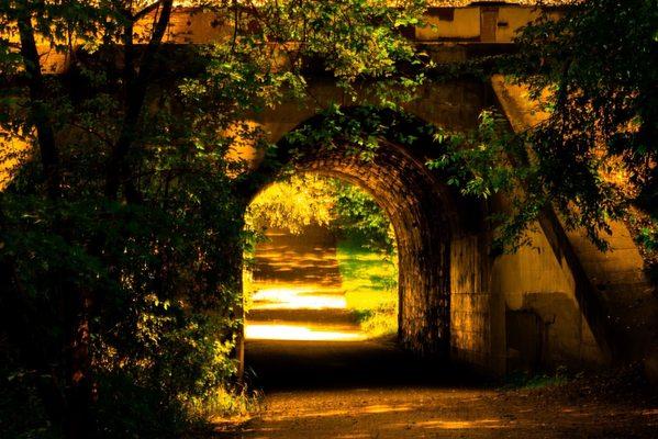 One of the tunnels in the park