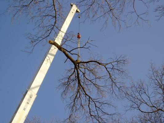 Crane assisted removal, safety first.