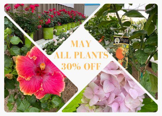 For the entire month of May, ALL PLANTS are 30% off!  

  Spring into savings at our garden center! 

 Get 30% off all plant