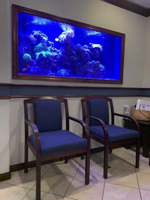 Nice fish tank in front office