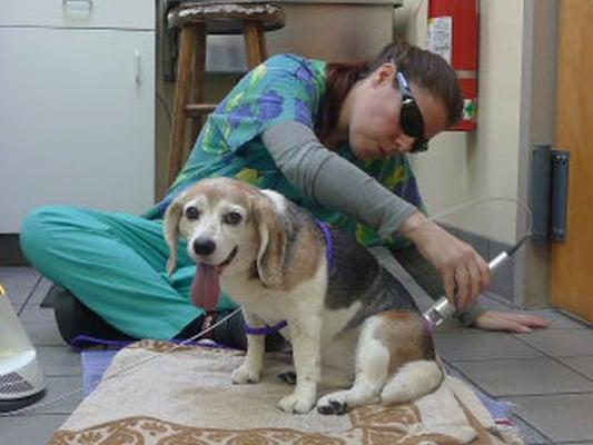 Laser Therapy