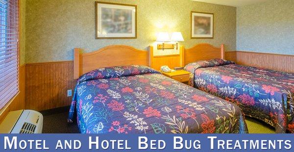 Hotel, Motel, Office, Business, Residential Bed Bug Inspections Houston.