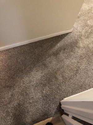 Green Clean Carpet & Air Duct Cleaning