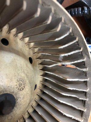 Rat eaten blower motor