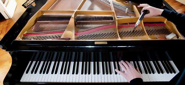 Expert piano tuning and repair.  45 years experience!